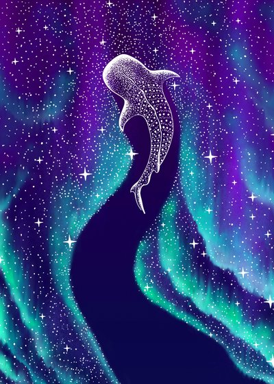 Noorderlicht-walvishaai door Alirıza ÇAKIR