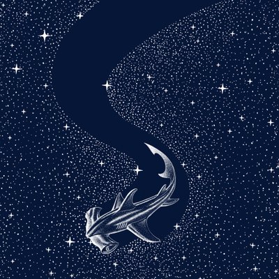 Sterrenhamerhaai door Alirıza ÇAKIR