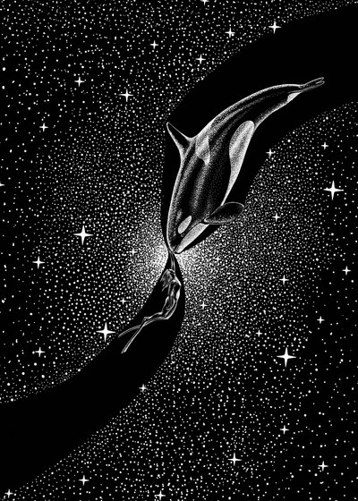 Omhelzing van de sterrenwalvis door Alirıza ÇAKIR