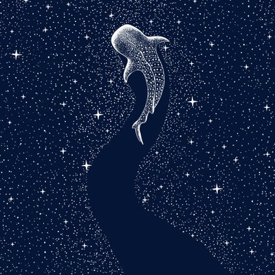 De sterrenhaai door Alirıza ÇAKIR