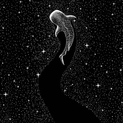 Reis langs de sterren en de walvishaaien door Alirıza ÇAKIR