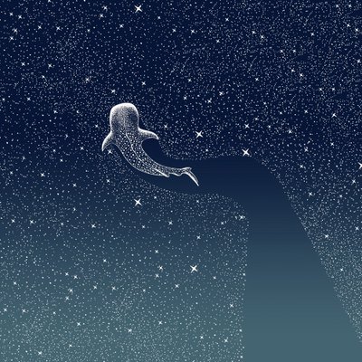 Walvishaai-melkweg door Alirıza ÇAKIR