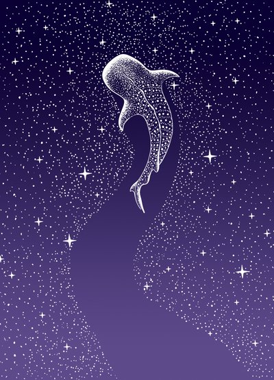 Zwemmen met walvishaaien in de Galaxy door Alirıza ÇAKIR