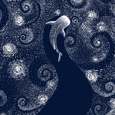 Walvishaai Sterrenzee door Alirıza ÇAKIR