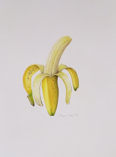 Een Half-geschilde Banaan, 1997 door Alison Cooper