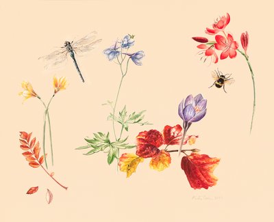 Herfstbloemen en insecten door Alison Cooper