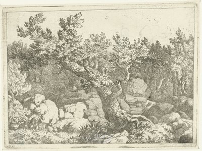 Landschap met jager bij grote boom door Allaert van Everdingen