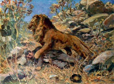 David Livingstone, Livingstone en de leeuw door Allan (after) Stewart