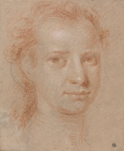 Hoofd van een Jonge Vrouw of Man door Allan Ramsay