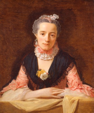 Dame in een roze zijden jurk door Allan Ramsay