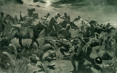 Briljante verdediging door Nieuw-Zeelanders bij Holspruit, 25 februari 1902, 1902 door Allan Stewart