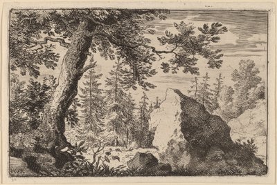 Rots in het bos door Allart van Everdingen
