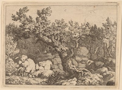 Jager bij een Grote Boom, waarschijnlijk ca. 1645-1656 door Allart van Everdingen