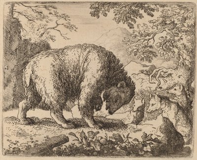 De Beer Afgeleid door Praat over Honing, waarschijnlijk ca. 1645-1656 door Allart van Everdingen