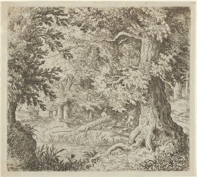 De beek in het bos, 17e eeuw door Allart van Everdingen