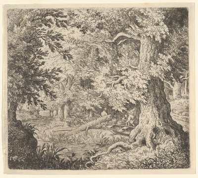 De beek in het bos door Allart van Everdingen