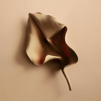 Zachte organische vorm door Alma