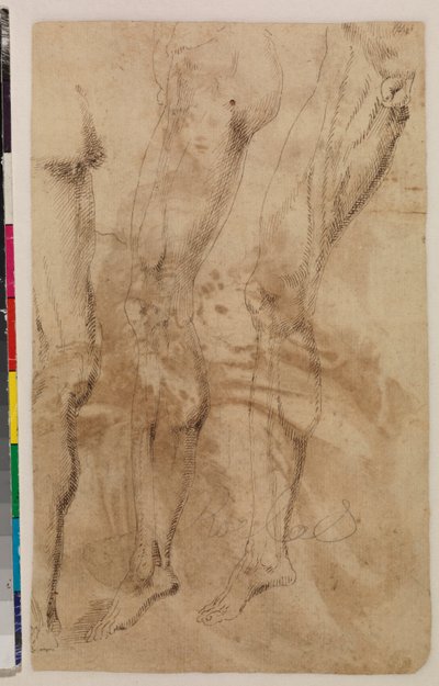 Drie studies van een mannelijk been (verso) c.1537 door Alonso (workshop of) Berruguete