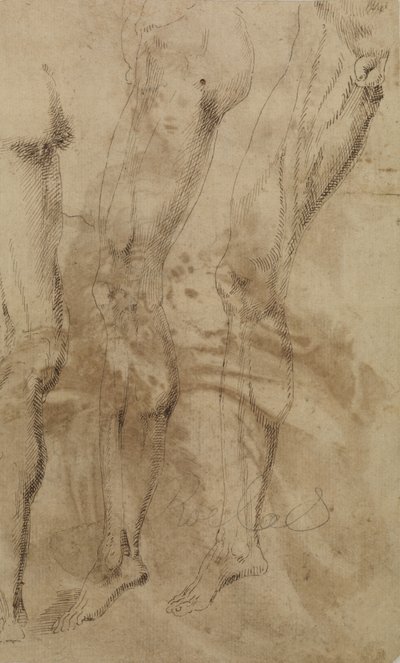 Drie studies van een mannelijk been, ca. 1637 door Alonso Berruguete
