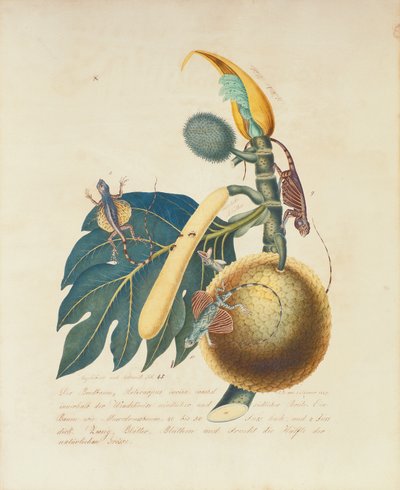 Der Broadbaum..., 1847 door Aloys Zötl