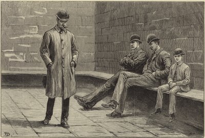 De Staat van Ierland door Aloysius O