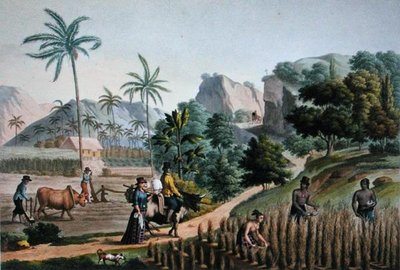 Eiland Guam: Landbouwactiviteiten, uit 