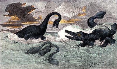 Lias Periode (Onder Jura): Plesiosaurus en Ichthyosaurus, natuurlijke creatie en levende wezens (door Jules Rengade) Tekening door A. Demarle. 1885 door Alphonse Demarle