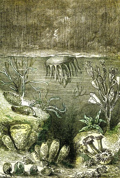 Prehistorie-Aarde en Zeeën: Het begin van de Silurische periode (J. Rengade. Tekening door Demarle. 1885 door Alphonse Demarle