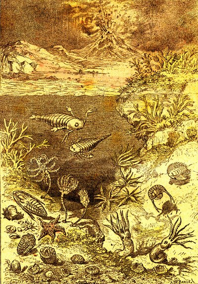Prehistorie-Einde van de Silurische periode: Natuurlijke Schepping en Levende Wezens (J. Rengade) Tekening A. Demarle. 1885 door Alphonse Demarle