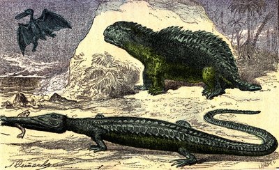 Prehistorie - Jura Periode: De Teleosaurus en de Hyleosaurus. De Pterodactylus boven. Natuurlijke Creatie en Levende Wezens. Tekening door A. Demarle. 1885 door Alphonse Demarle