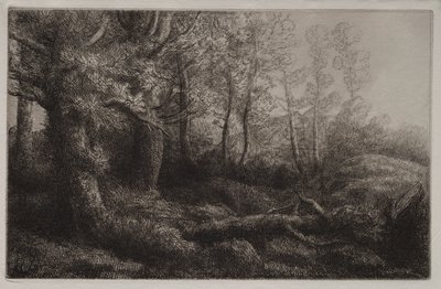 Een bosstudie door Alphonse Legros