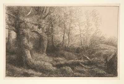 Een bosstudie door Alphonse Legros