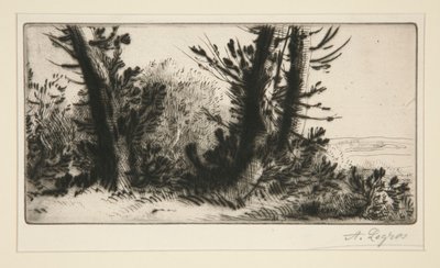 Door het veld door Alphonse Legros