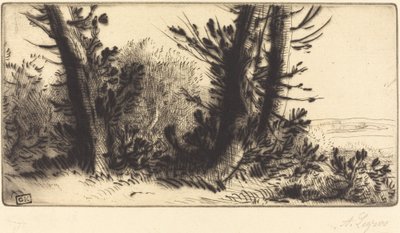 Door het Land door Alphonse Legros