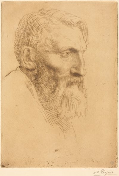  door Alphonse Legros