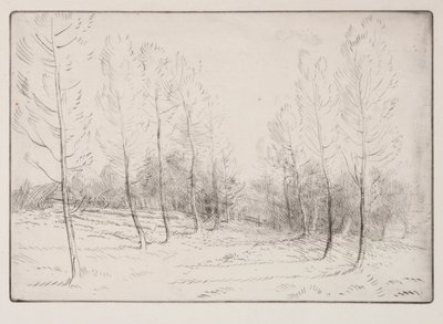 Laan van populieren door Alphonse Legros
