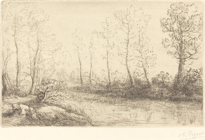 Berkenbomen: Waterkant gezien in ochtendlicht door Alphonse Legros