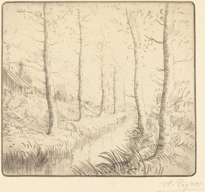 Berkenbomen langs het Water (Les bouleaux: Bord de l