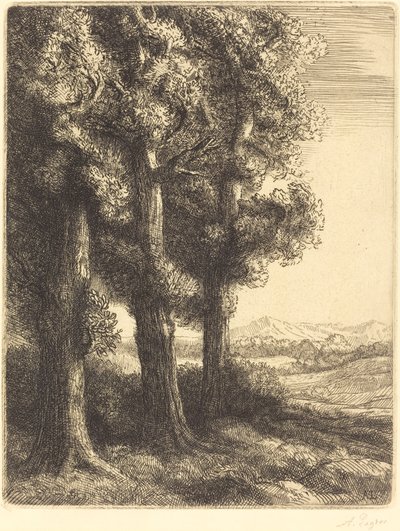 Hoek van een Bos door Alphonse Legros