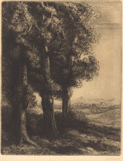 Hoek van een Bos door Alphonse Legros