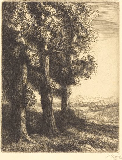 Hoek van een Bos door Alphonse Legros