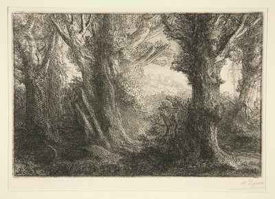 In het bos van Conteville door Alphonse Legros