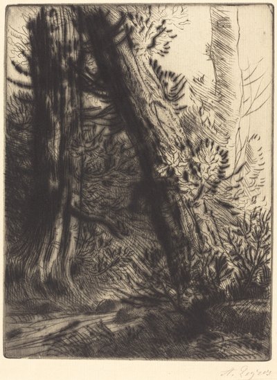 Rand van een Beek door Alphonse Legros