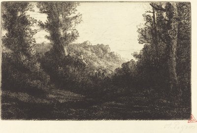 Rand van een bos Lisiere de bois door Alphonse Legros
