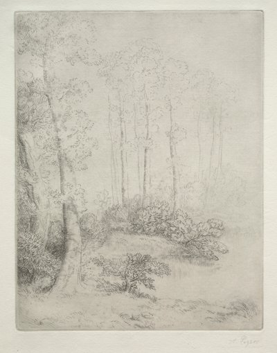 Rand van het water (Au Bord de L