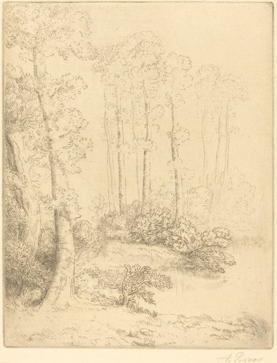 Rand van het water door Alphonse Legros