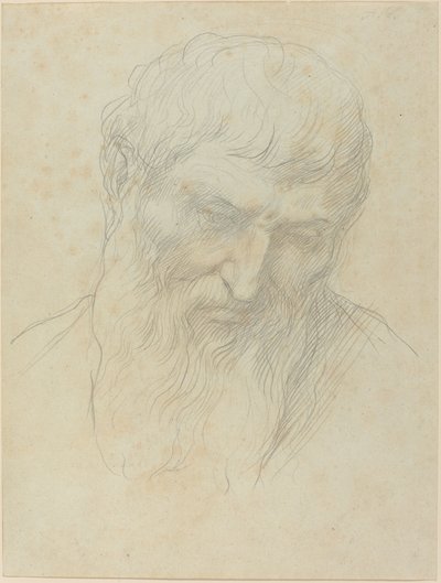 Hoofd van een Man met Krullend Haar en Baard door Alphonse Legros