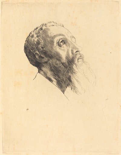 Hoofd van een Model Tête de modèle door Alphonse Legros