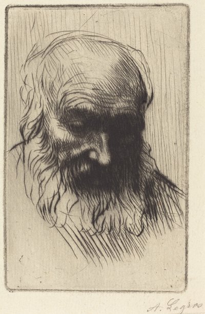  door Alphonse Legros