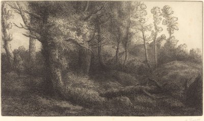 In het Bos door Alphonse Legros